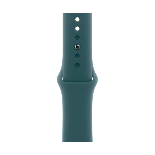 Apple 42mm Sport Band - S/M & M/L Band Extension for Apple Watch 38/42 mm, Size S/M, Lake Green